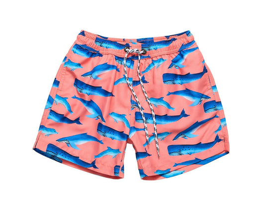 UPF 50+ Swim Shorts - Whales