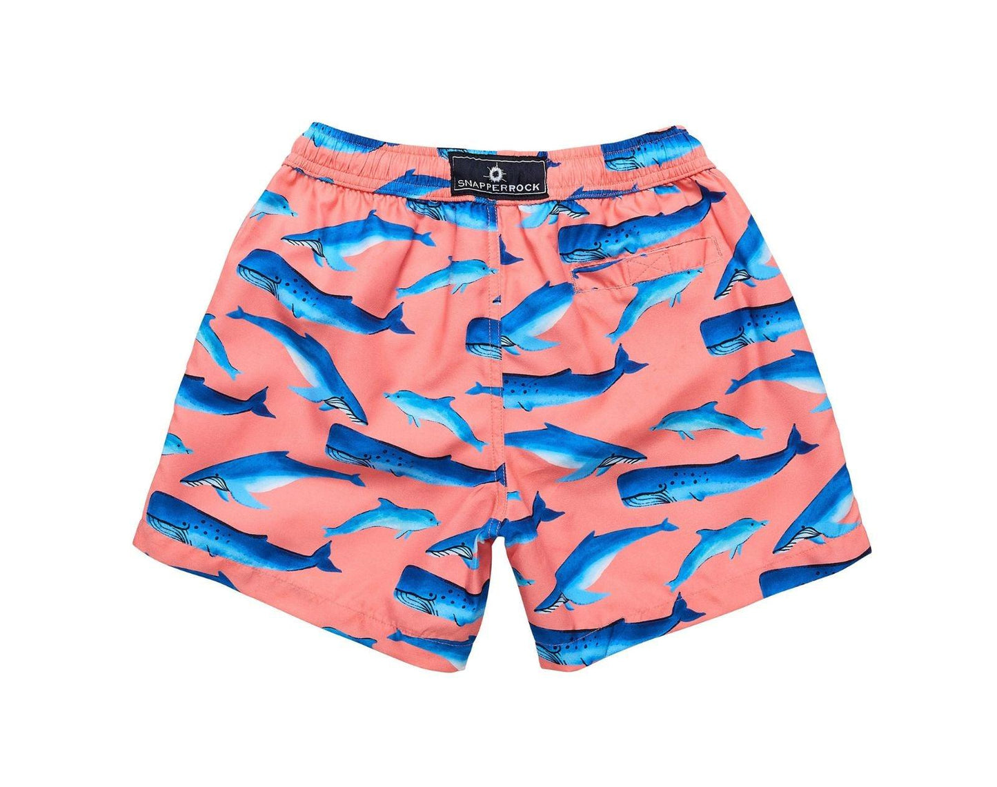 UPF 50+ Swim Shorts - Whales