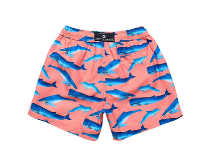 UPF 50+ Swim Shorts - Whales