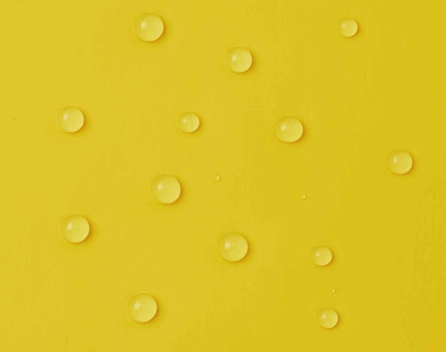 Lampi Waterproof Rain Jacket