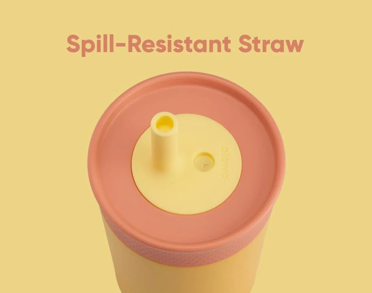 Stainless Steel Tumbler - 12oz