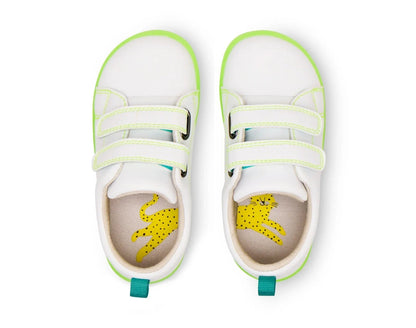 Everyday Original - Neon Glow