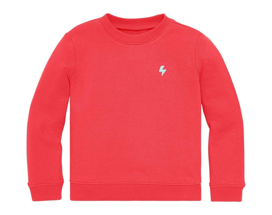 Embroidered Sweatshirt